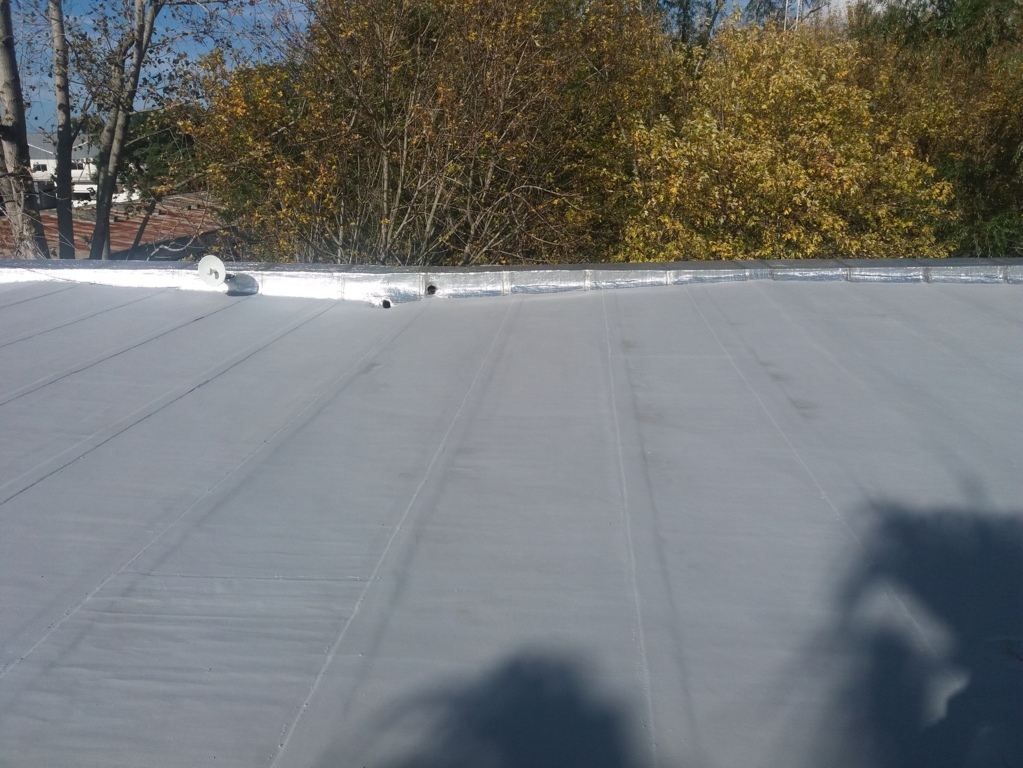 2020_7_8_18_18_2020170601_113228 (FILEminimizer).jpg